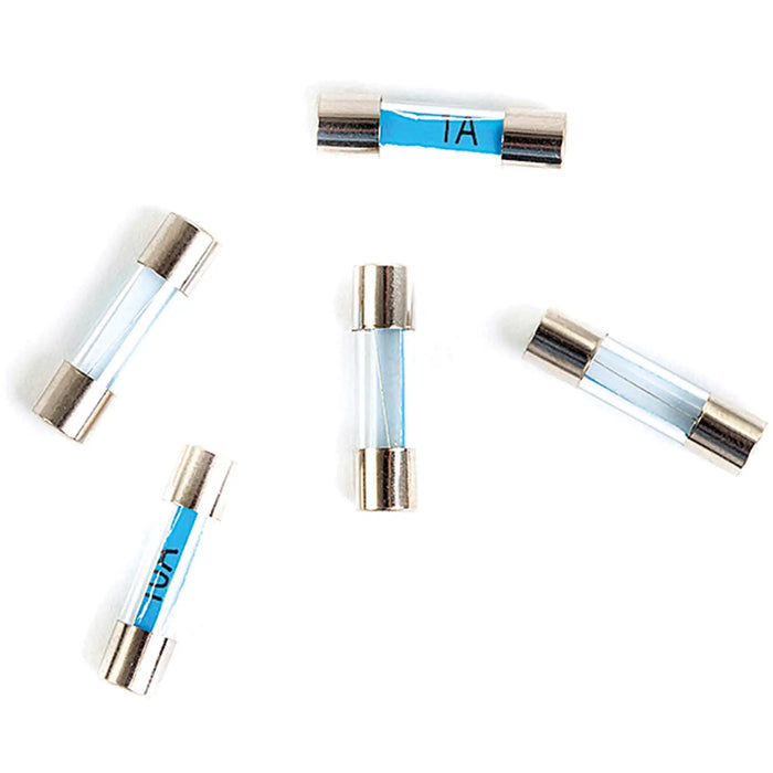 10 Amp 20mm Radio Fuse