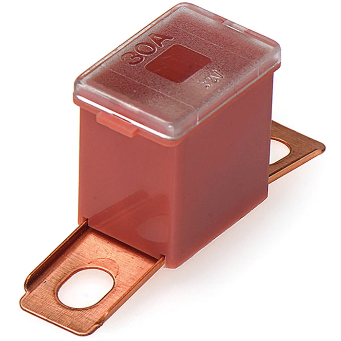 100 Amp  Male 48 Fuse